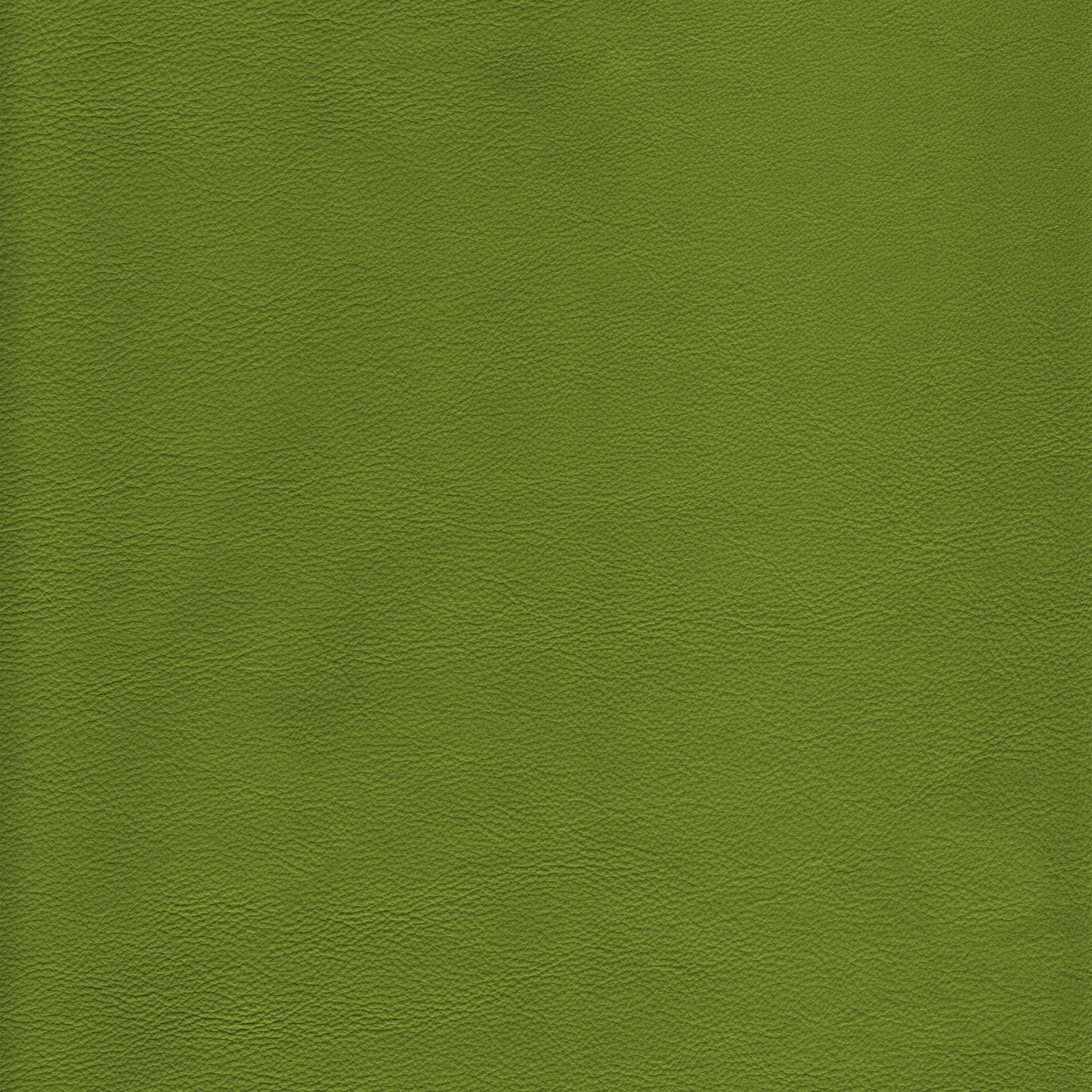 Canyon Upholstery Leather - Kiwi