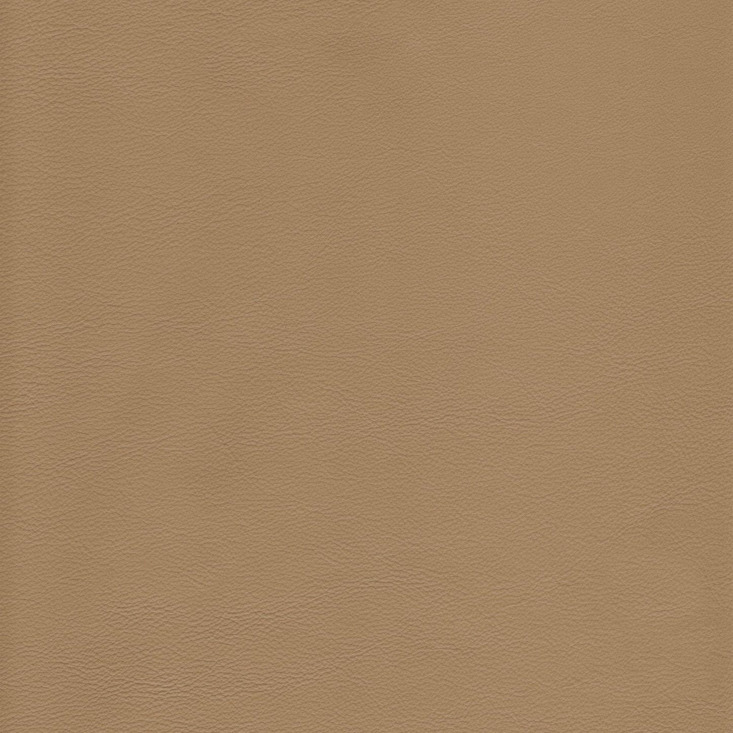 Memo Sample - Canyon Upholstery Leather - Linen