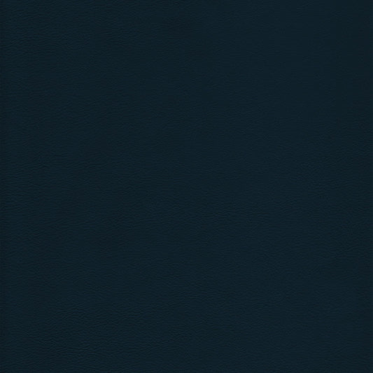 Memo Sample - Canyon Upholstery Leather - Mariner