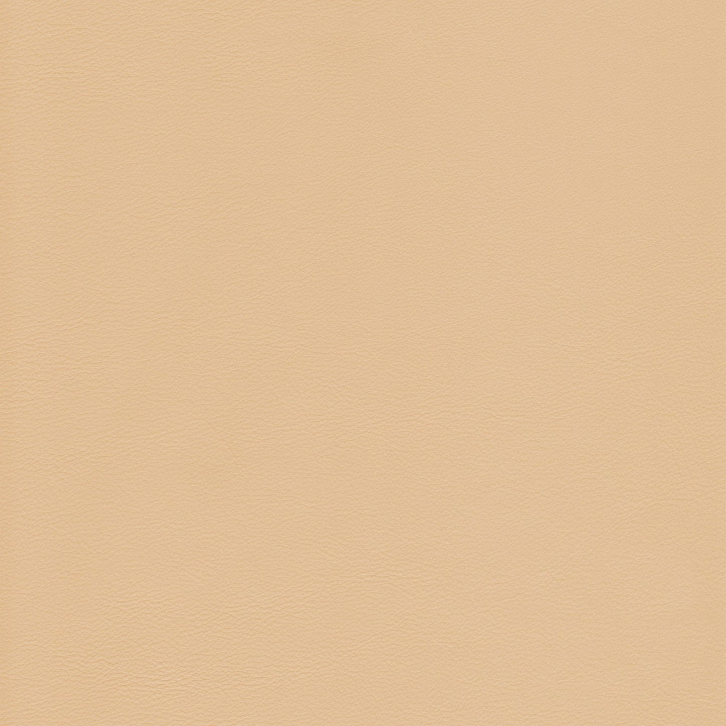 Memo Sample - Canyon Upholstery Leather - Ming