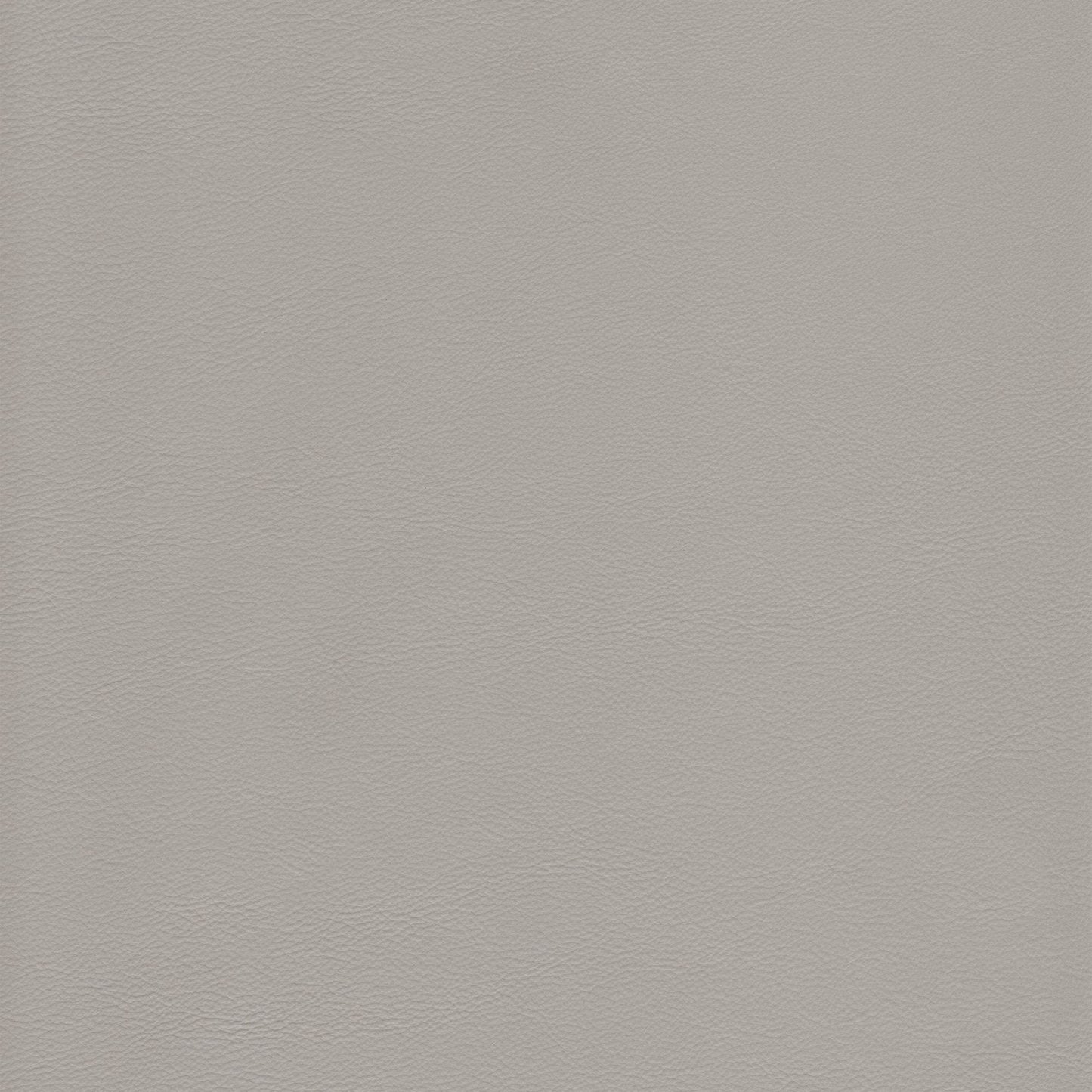 Memo Sample - Canyon Upholstery Leather - Mystic