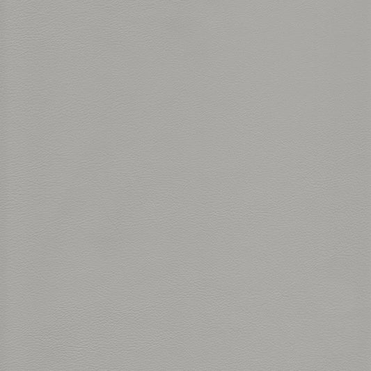 Canyon Upholstery Leather - Onda