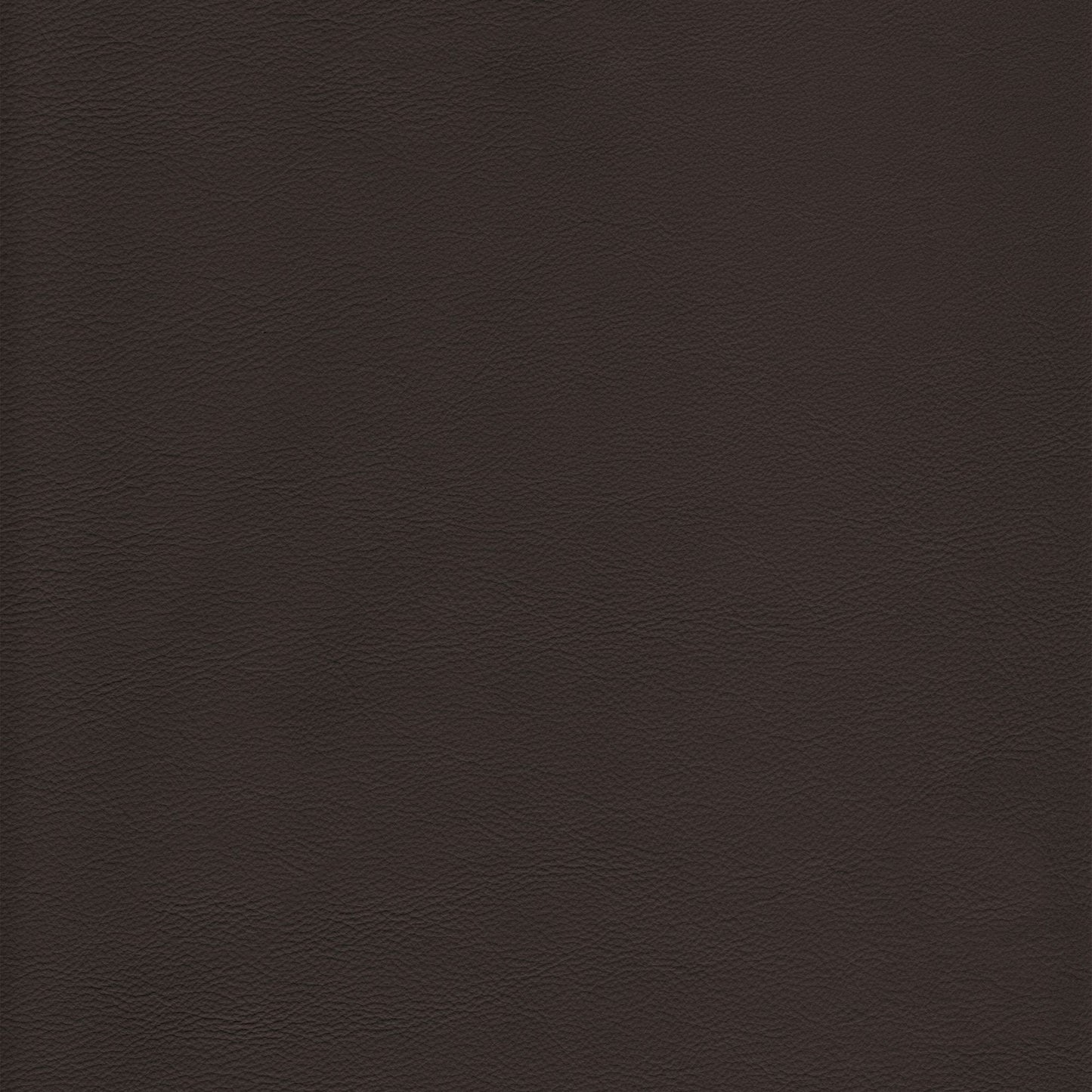 Memo Sample - Canyon Upholstery Leather - Pewter