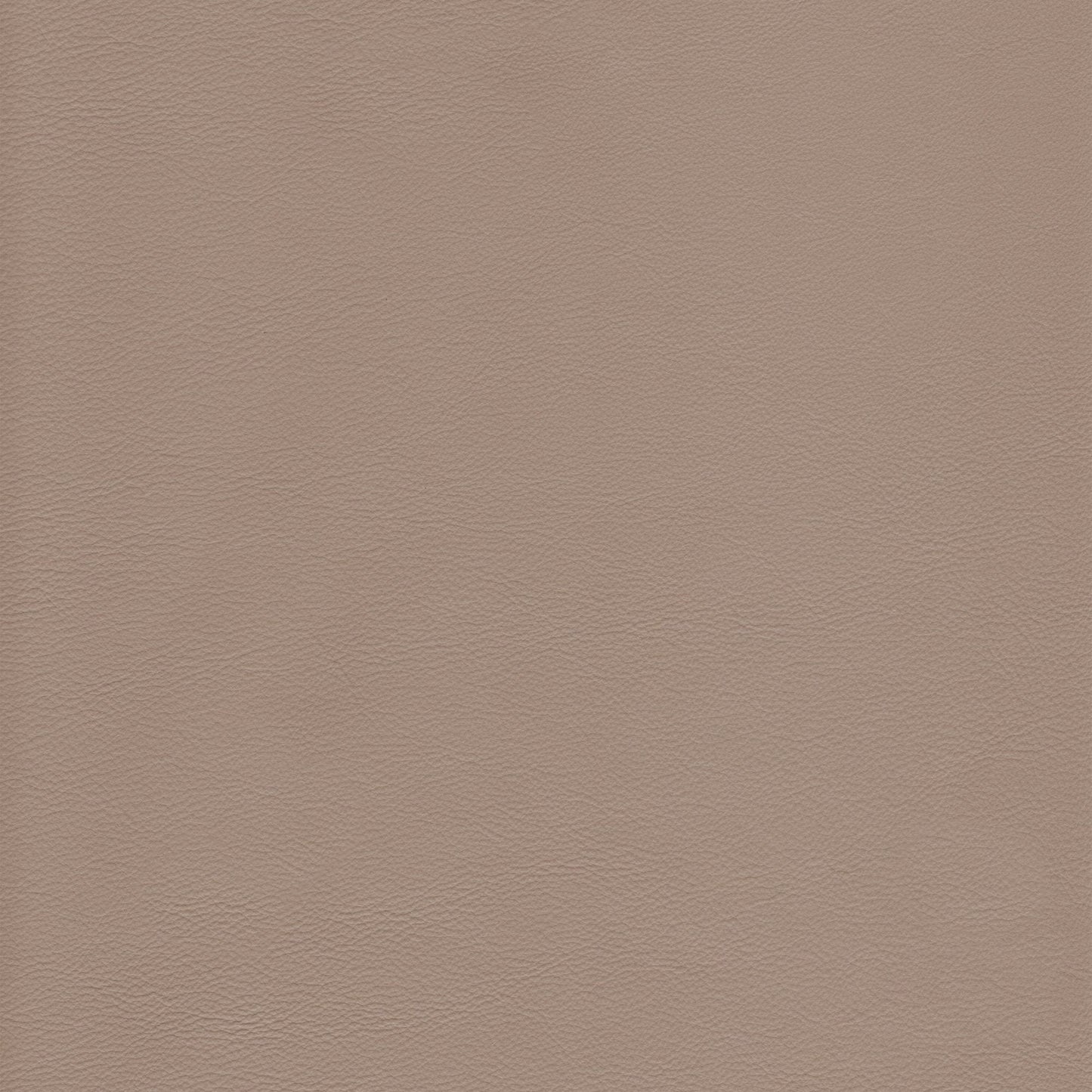 Memo Sample - Canyon Upholstery Leather - Pietra