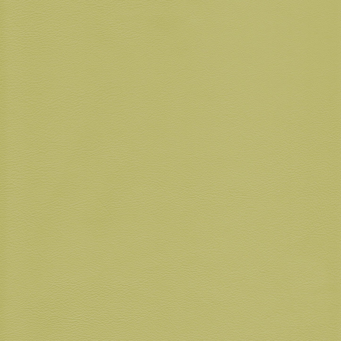 Memo Sample - Canyon Upholstery Leather - Pistachio