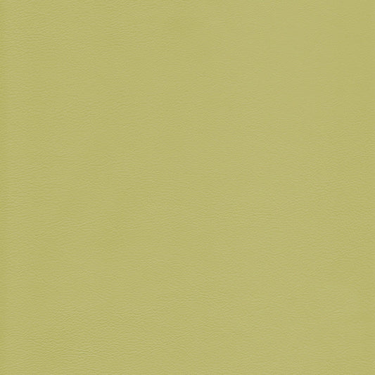 Memo Sample - Canyon Upholstery Leather - Pistachio