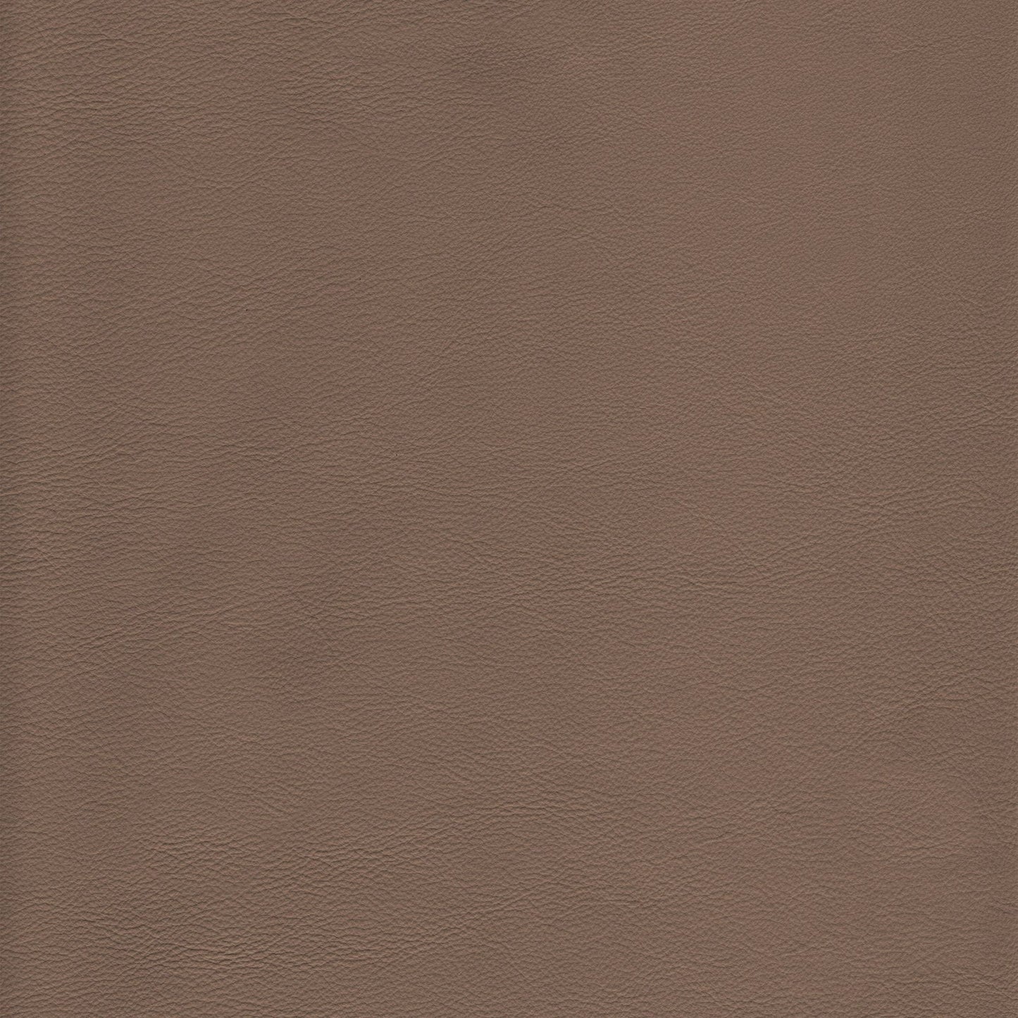 Memo Sample - Canyon Upholstery Leather - Pumice