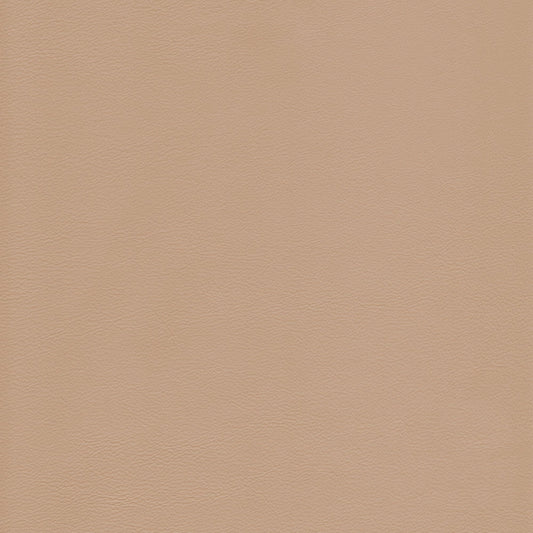 Canyon Upholstery Leather - Putty