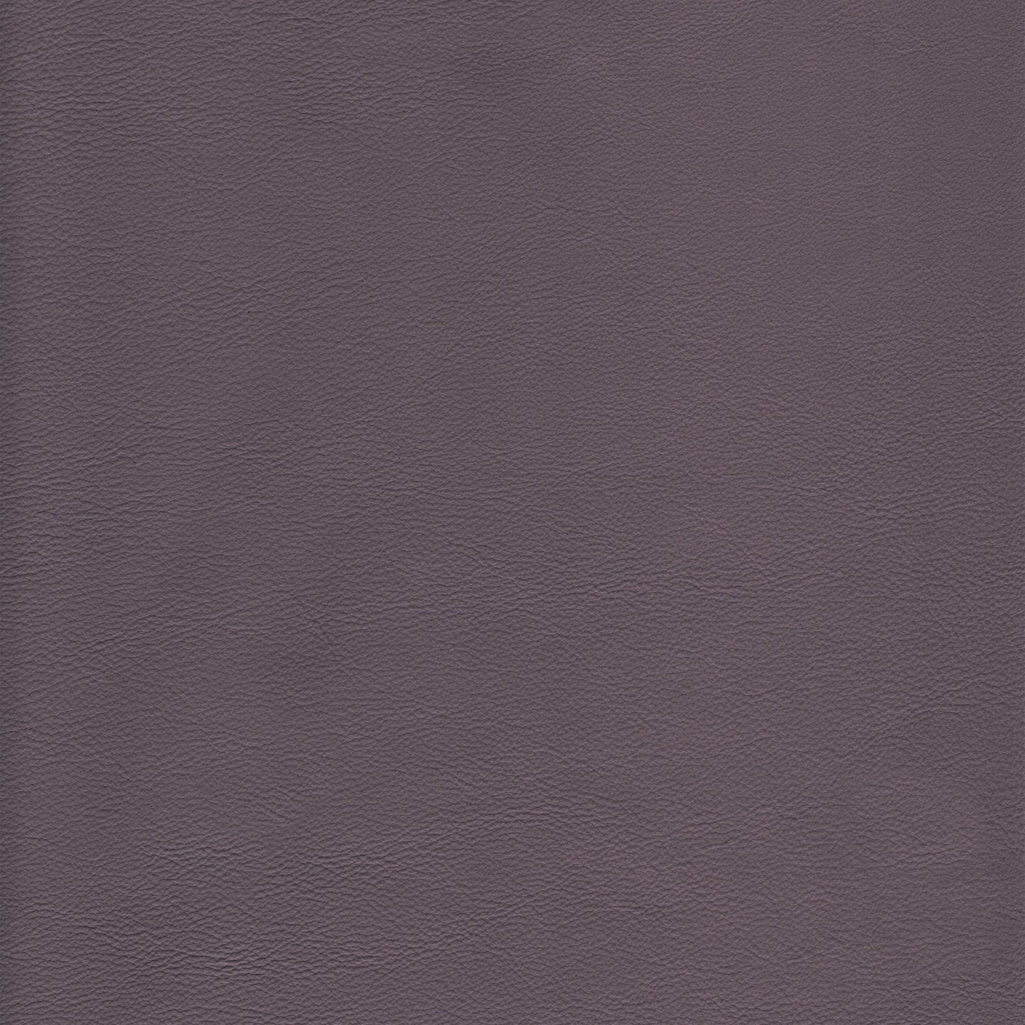 Memo Sample - Canyon Upholstery Leather - Quahog