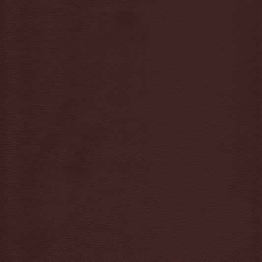 Canyon Upholstery Leather - Ranch