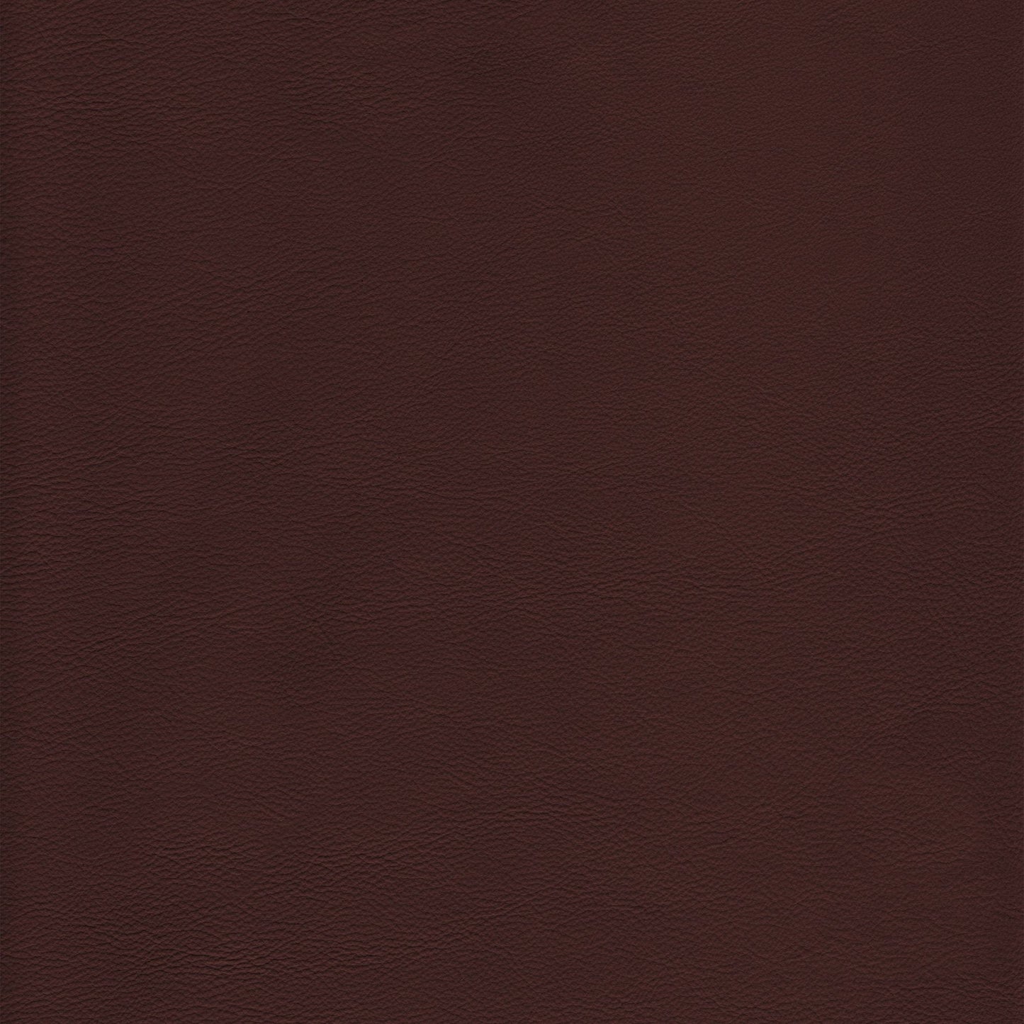 Memo Sample - Canyon Upholstery Leather - Sequoia