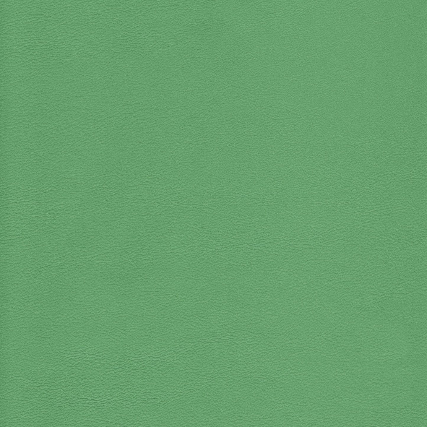 Memo Sample - Canyon Upholstery Leather - Spearmint