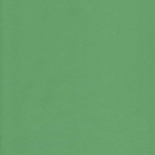 Memo Sample - Canyon Upholstery Leather - Spearmint