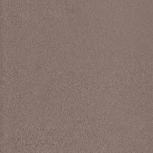 Memo Sample - Canyon Upholstery Leather - Sterling
