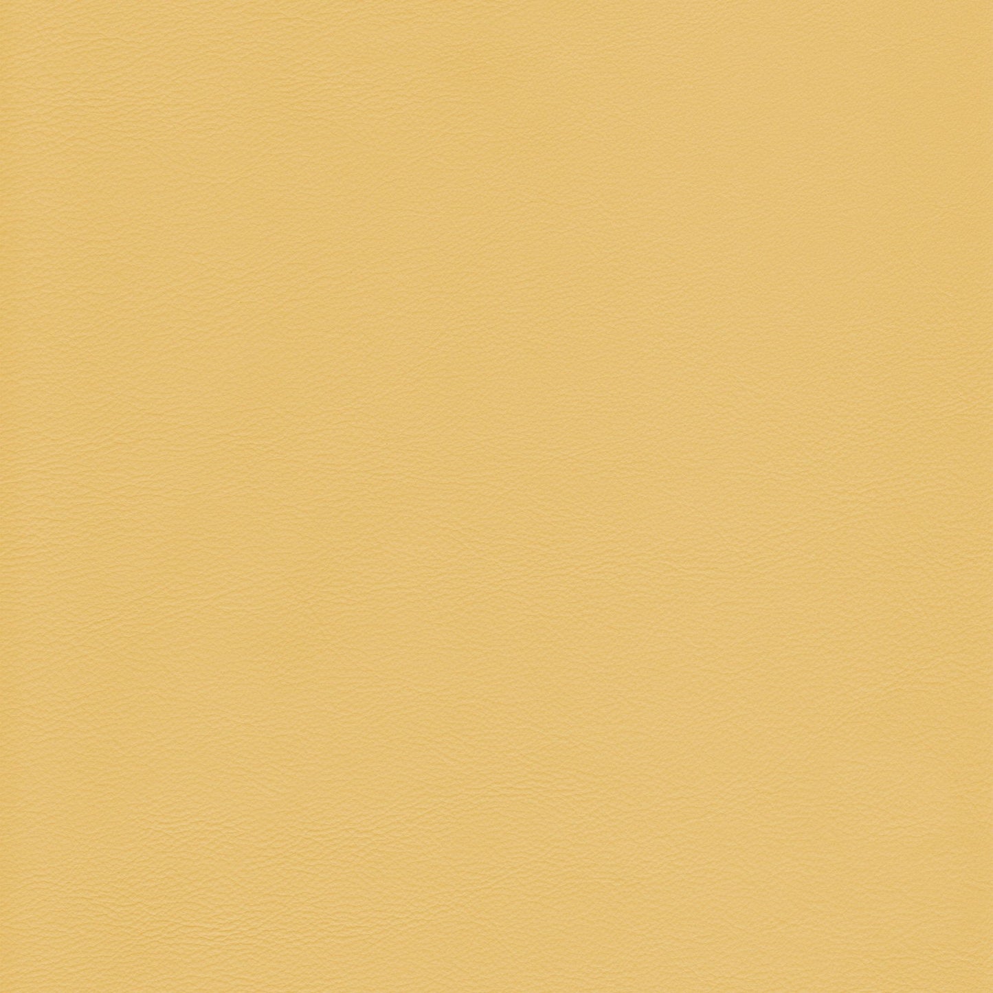 Memo Sample - Canyon Upholstery Leather - Sunshine