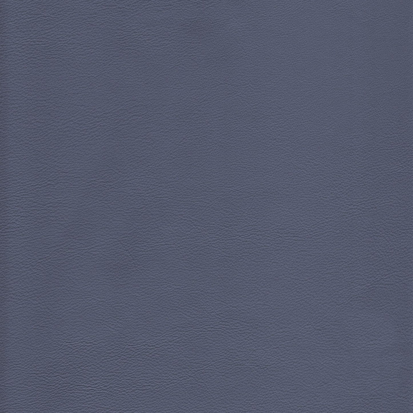 Memo Sample - Canyon Upholstery Leather - Tahoe