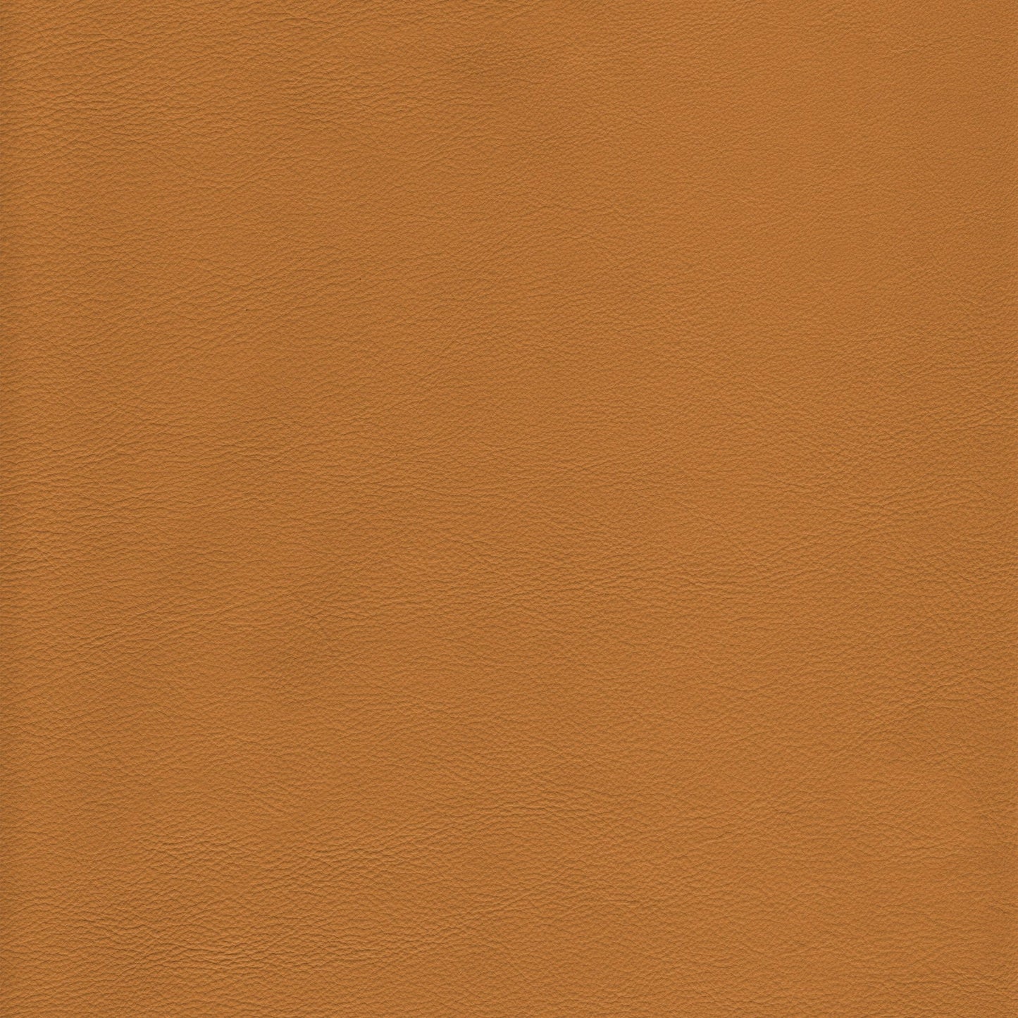 Memo Sample - Canyon Upholstery Leather - Tan