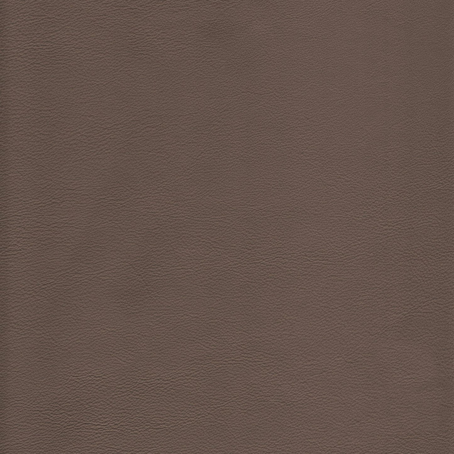 Memo Sample - Canyon Upholstery Leather - Thunder