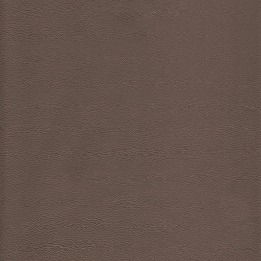 Memo Sample - Canyon Upholstery Leather - Thunder