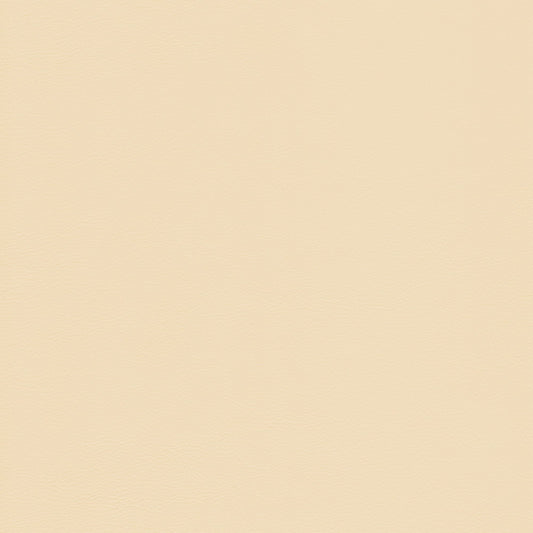 Memo Sample - Canyon Upholstery Leather - Vaniglia