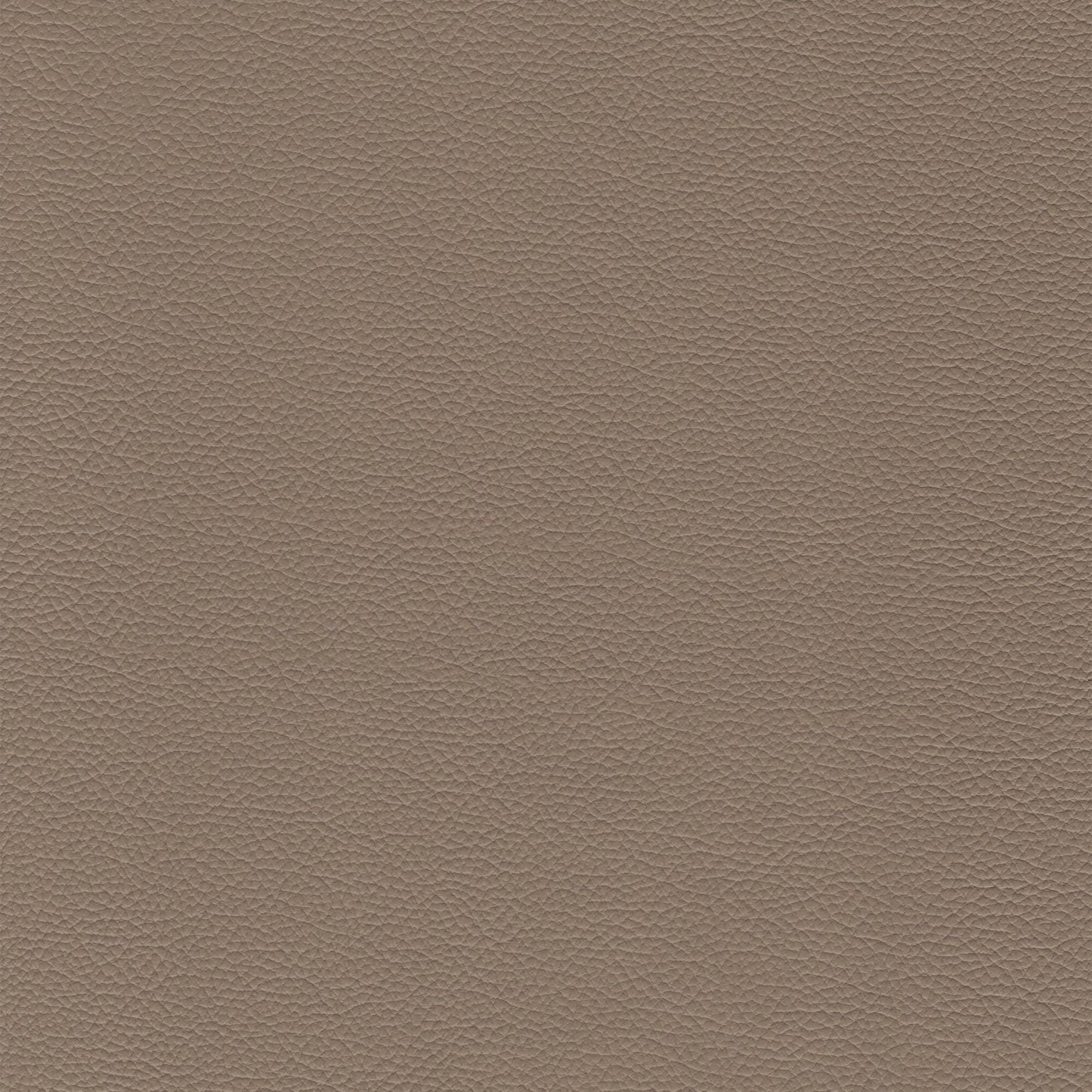 Dakota Upholstery Leather - Mushroom