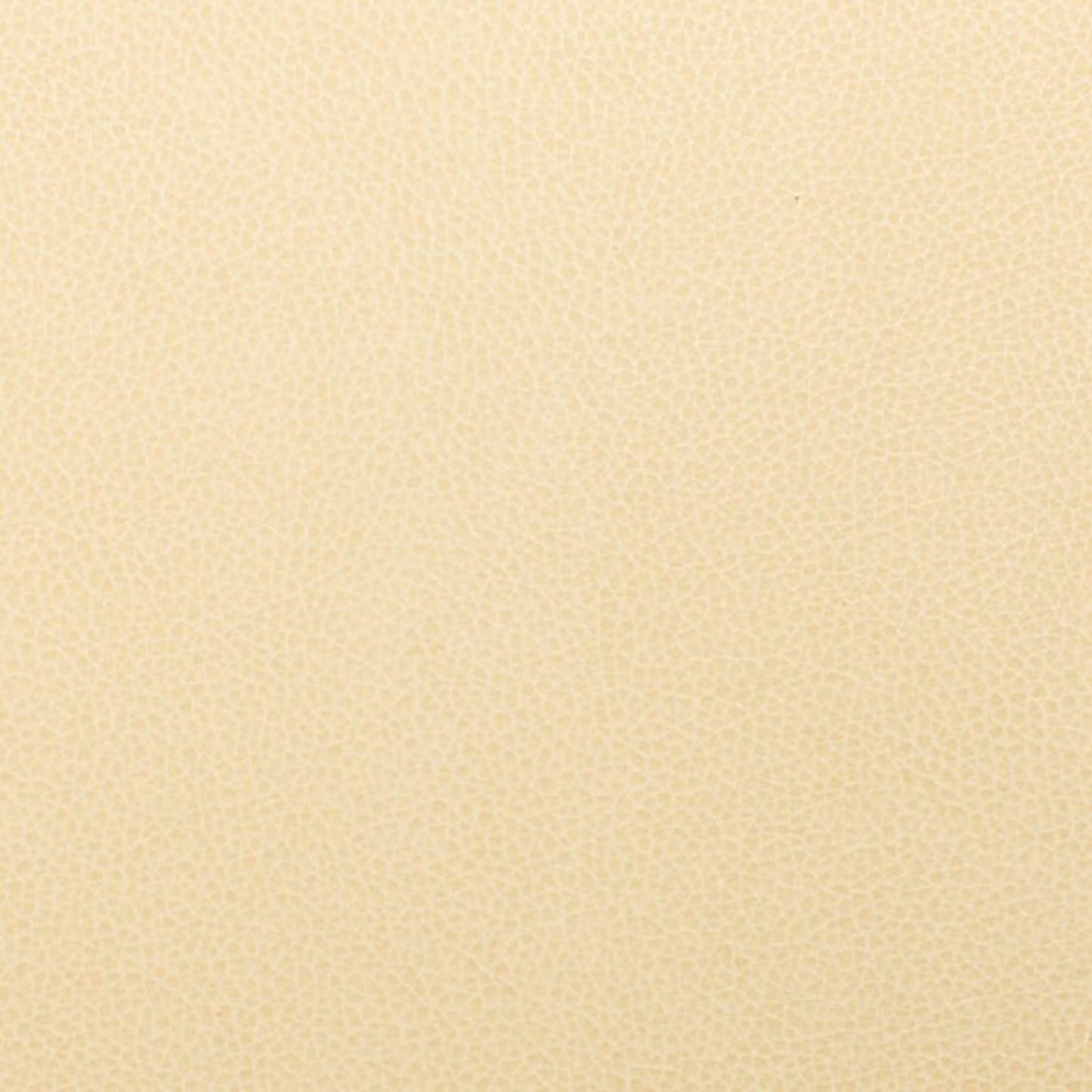 Writer's Block Tolstoy Performance Faux Leather Fabric - WTL-001 Alpaca