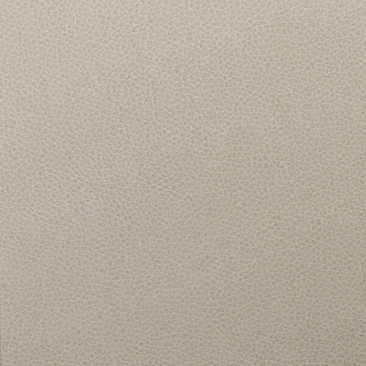 Writer's Block Tolstoy Performance Faux Leather Fabric - WTL-006 Feather