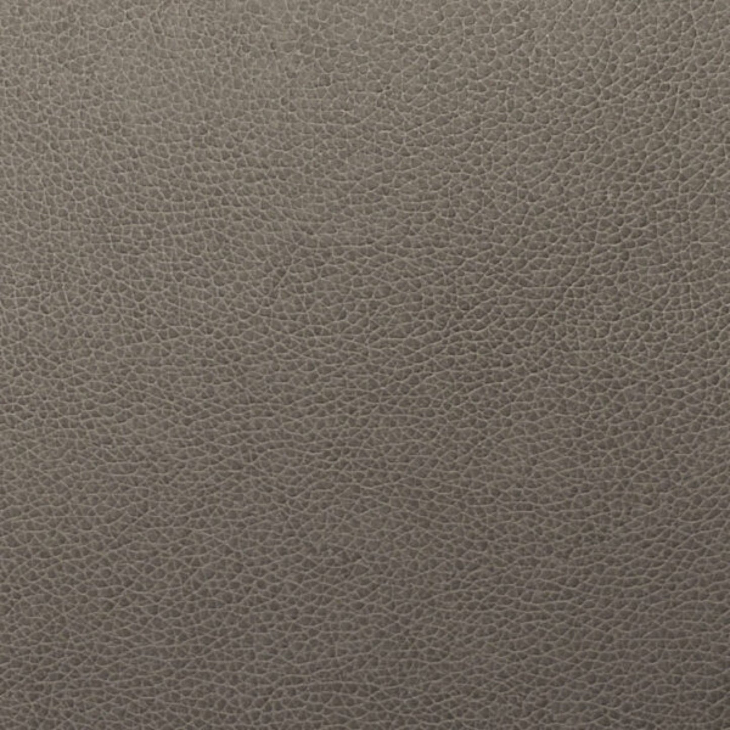 Writer's Block Tolstoy Performance Faux Leather Fabric - WTL-007 Flintstone