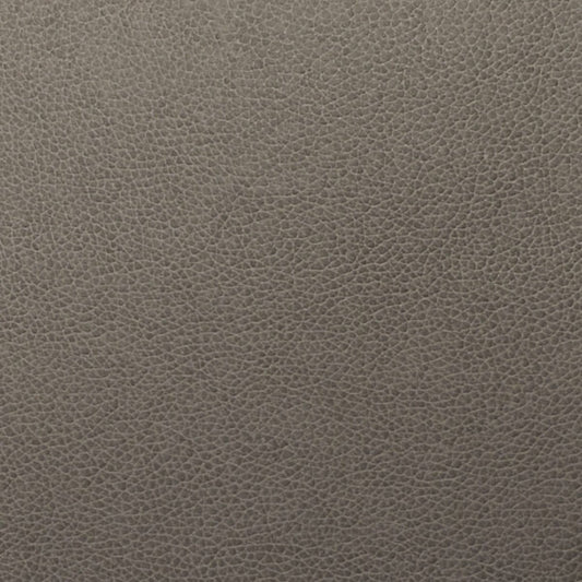 Writer's Block Tolstoy Performance Faux Leather Fabric - WTL-007 Flintstone