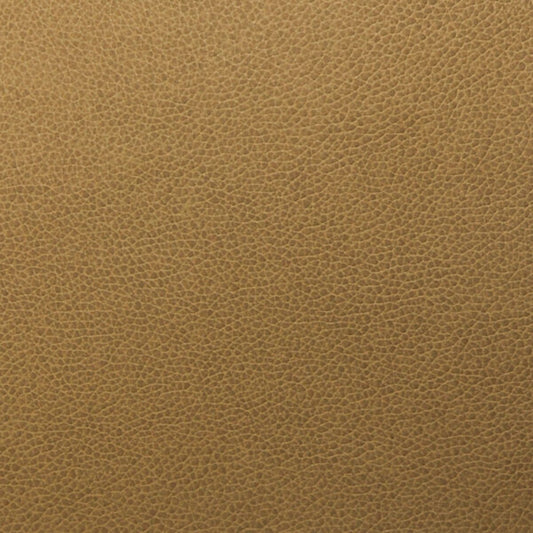 Writer's Block Tolstoy Performance Faux Leather Fabric - WTL-009 Hazel