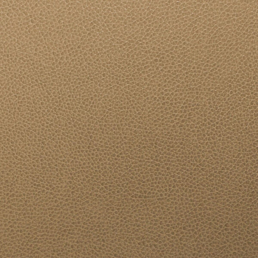 Writer's Block Tolstoy Performance Faux Leather Fabric - WTL-014 Rye
