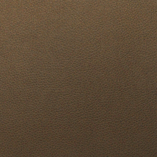 Writer's Block Tolstoy Performance Faux Leather Fabric - WTL-016 Timber