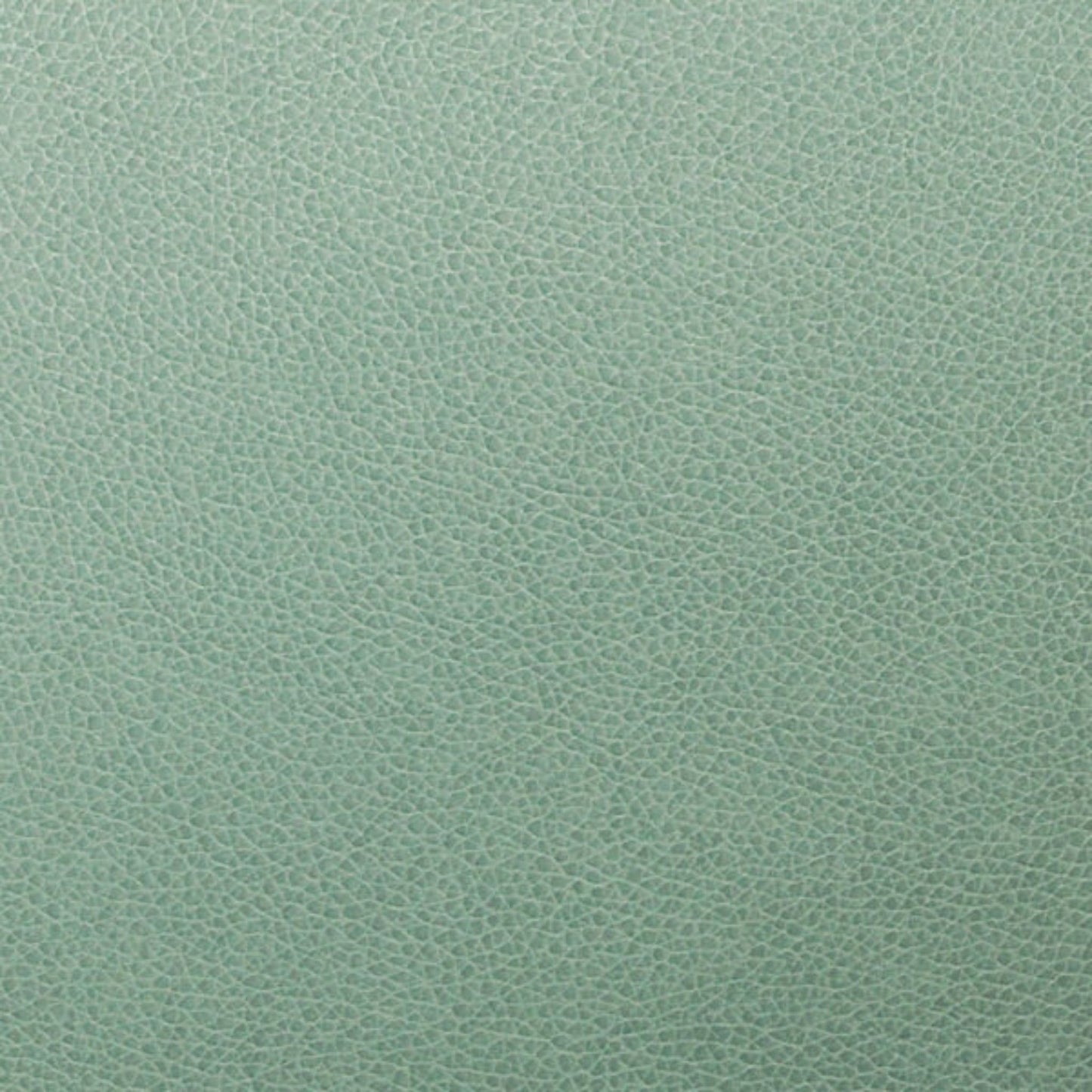 Writer's Block Tolstoy Performance Faux Leather Fabric - WTL-017 Vista