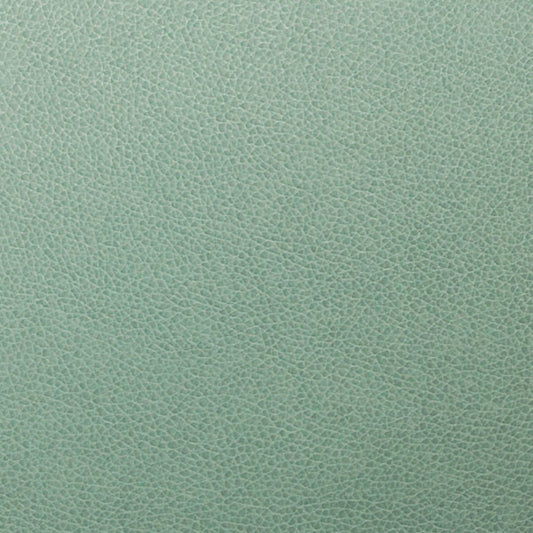 Writer's Block Tolstoy Performance Faux Leather Fabric - WTL-017 Vista