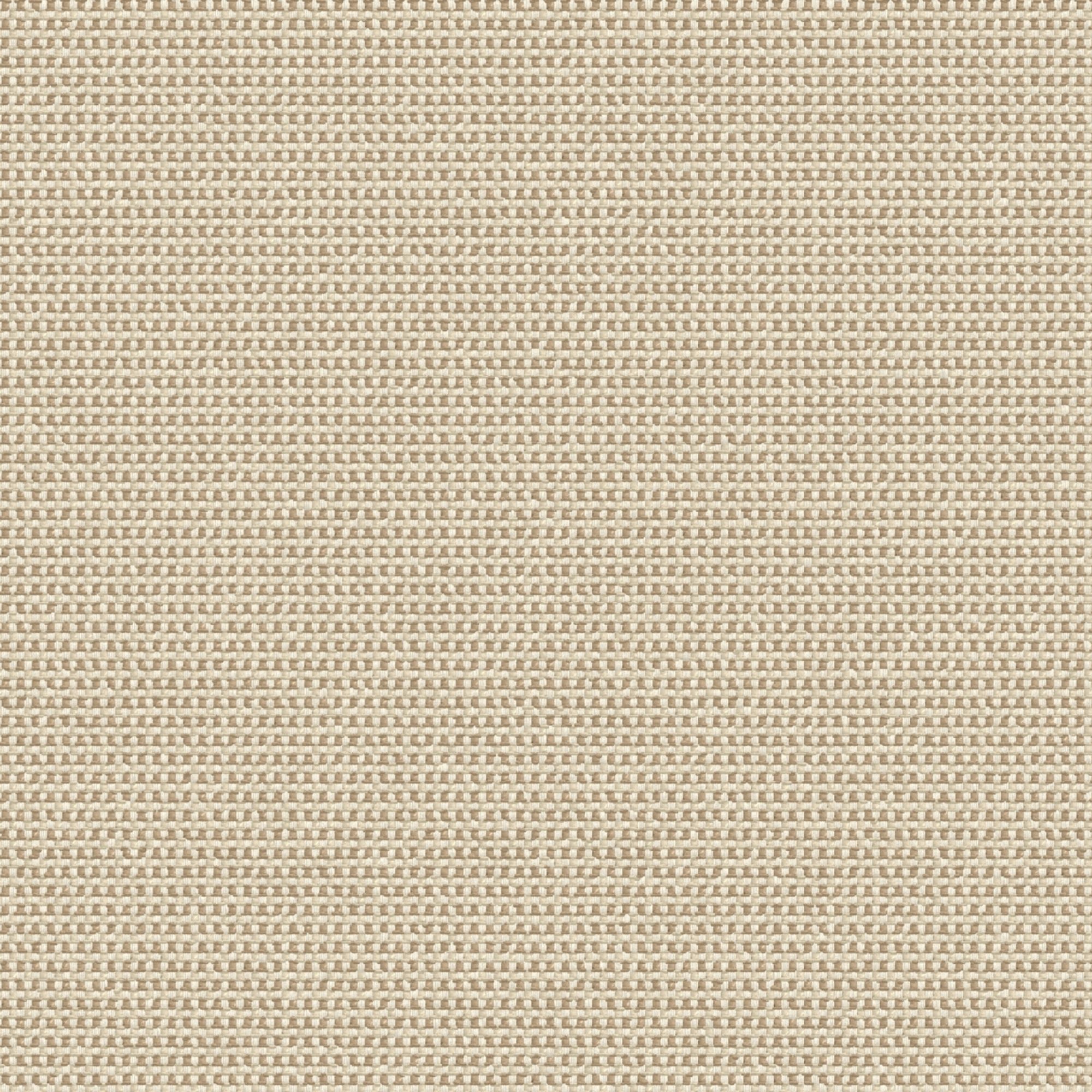 Outdura Delaney Outdoor Upholstery Fabric - 4876 Birch – AutoMarinePro.com