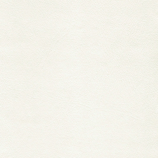 Spradling Grand Prix Automotive Vinyl Fabric - GPX-9450 Snow White