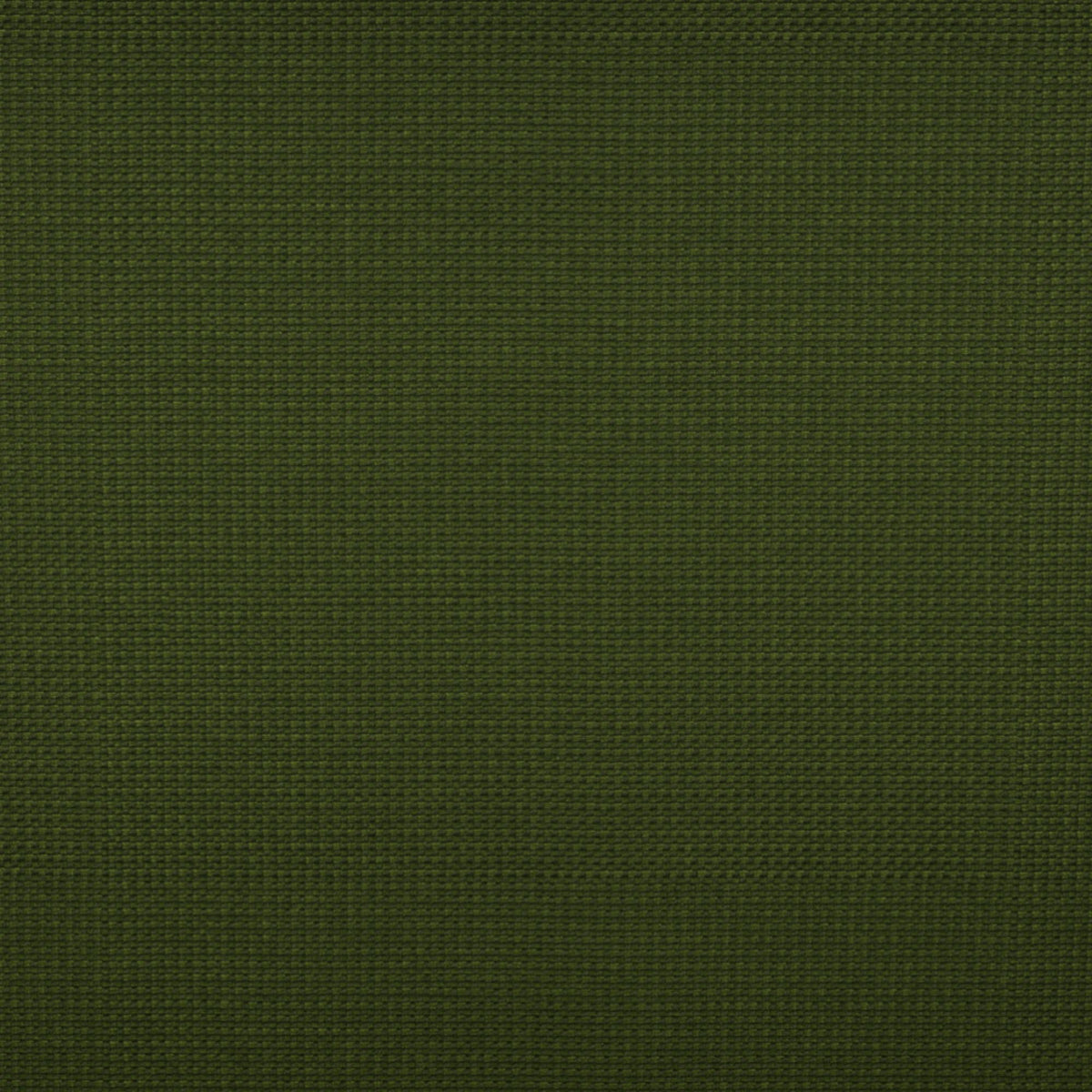 Memo Sample - Tempotest Michelangelo Outdoor Upholstery Fabric - TH-50964/5-57 Olive